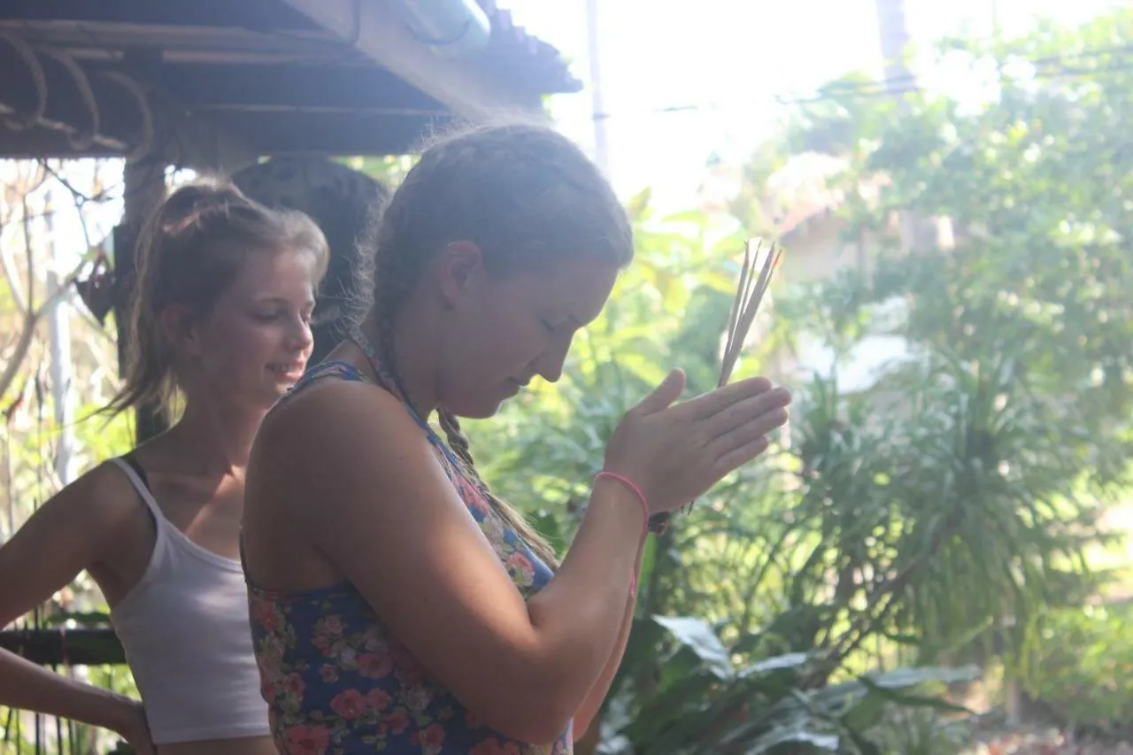 Black Wood Hostel Ko Tao